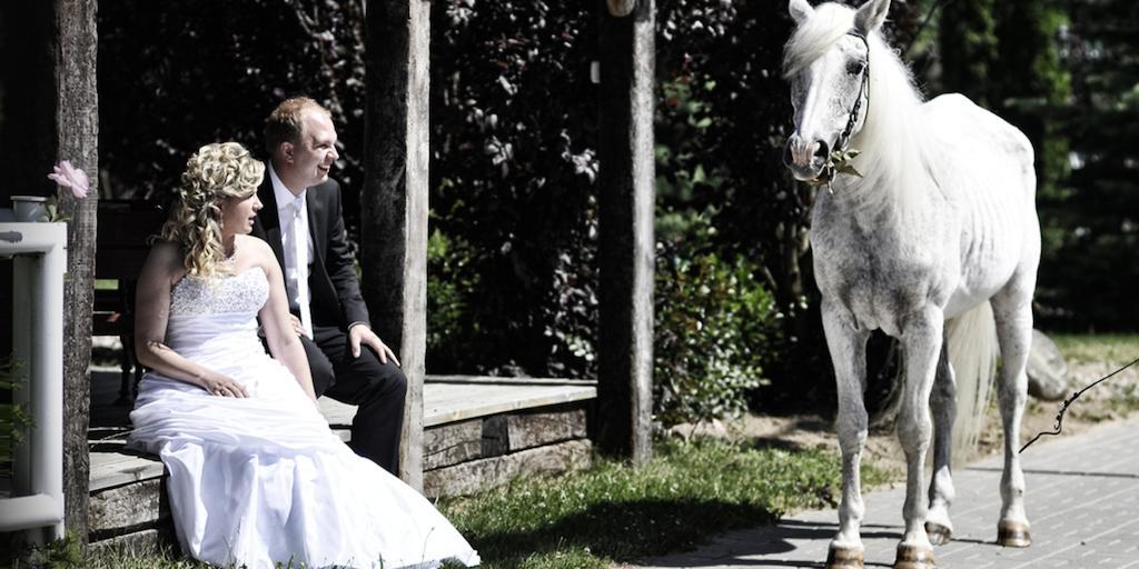 Hotel Biesiada Bogucin  Bagian luar foto